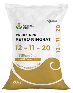 PETRO NINGRAT 12-11-20